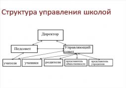 Структура управления школой